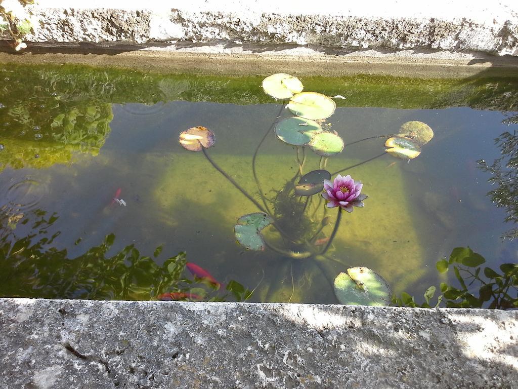 Poggio Mario Villa Saturnia Ngoại thất bức ảnh